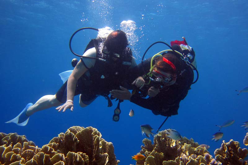 scuba diving in Andaman Islands