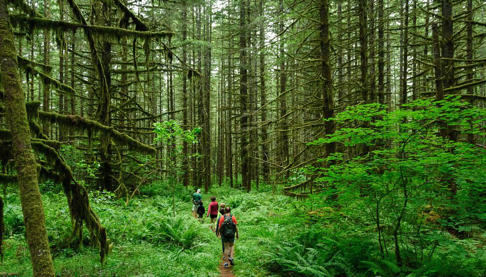 Trekking in Andaman