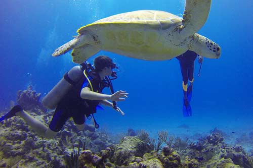 Andaman Scuba Diving Package