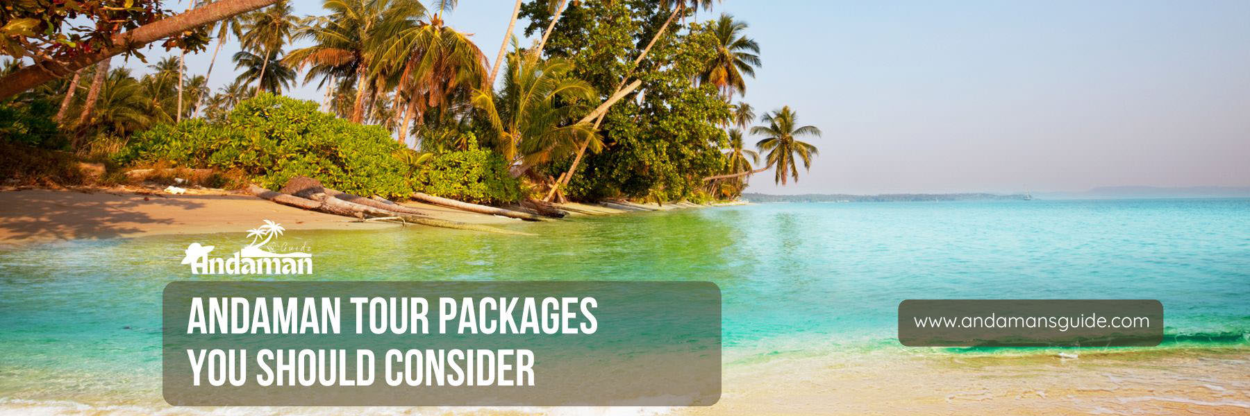 Top 10 Andaman Tour Packages You Should Consider