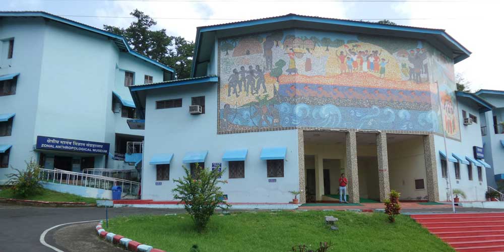 Anthropological Museum in Port Blair