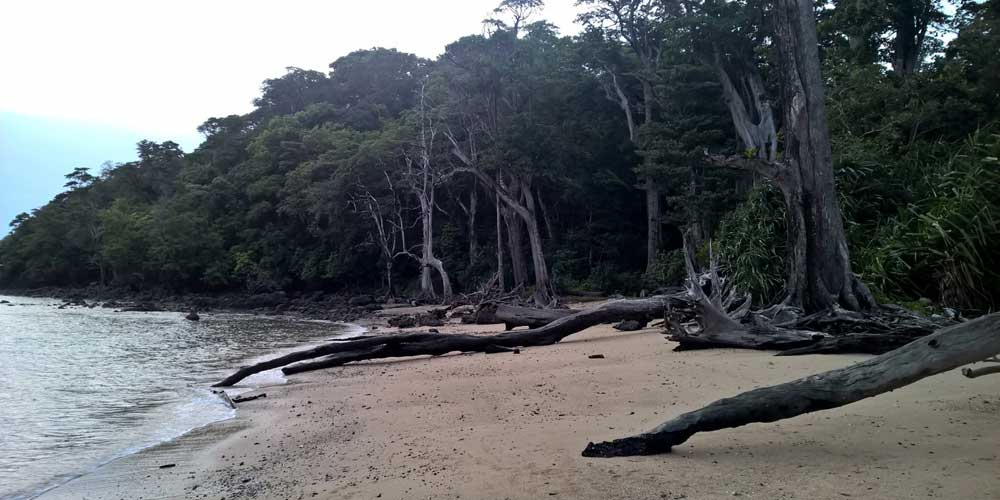 Chidiya Tapu Near Port Blair