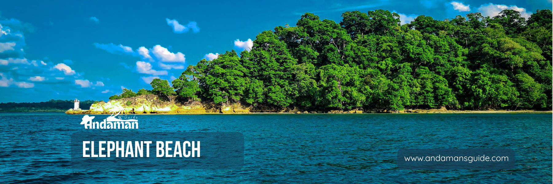 Elephant Beach