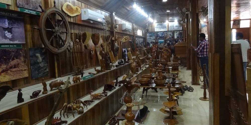 Forest Museum in Port Blair