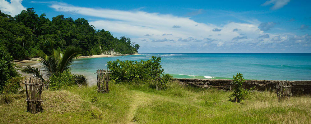 Sitapur Beach at Neil Island