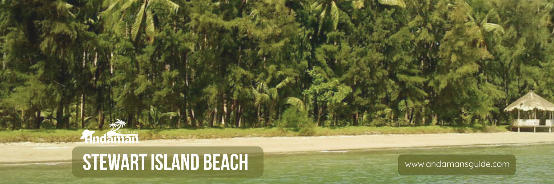 Stewart Island Beach