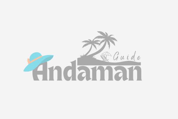 Best Hotels to Stay in Port Blair