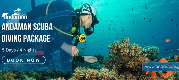 Andaman Scuba Diving Package