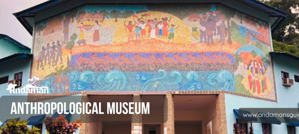Anthropological Museum