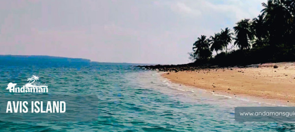 Avis Island Beach