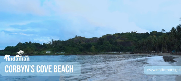 Corbyn’s Cove Beach