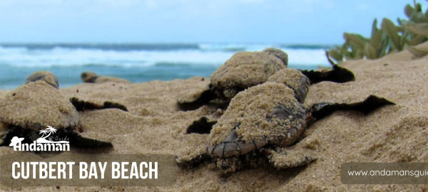 Cutbert Bay Beach