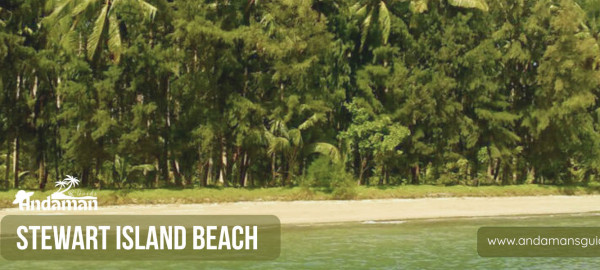 Stewart Island Beach