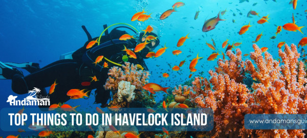 Top Things You Must Do in Havelock Island