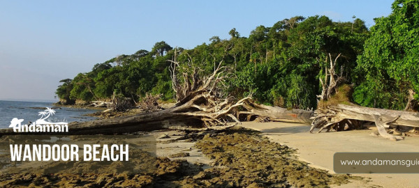 Wandoor Beach