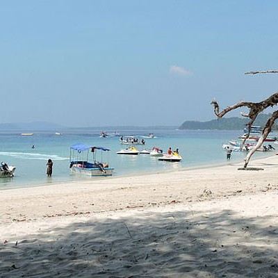 Elephant Beach