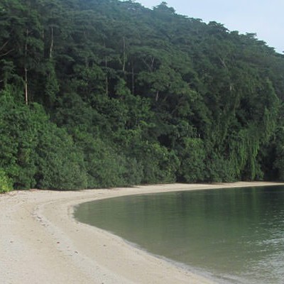 Guitar Island