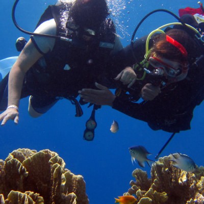 Scuba Diving in Andaman Islands