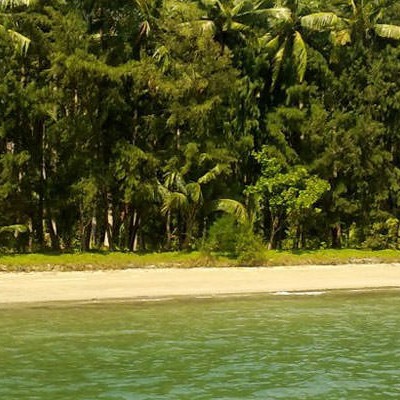 Stewart Island Beach