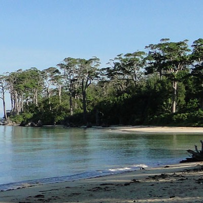 Wandoor Beach