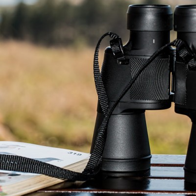 Bird Watching in Andaman Island