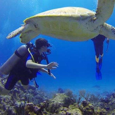 Andaman Scuba Diving Package by Scubalov