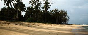 Harminder Bay Beach in Hut Bay Island Andaman