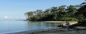 Wandoor Beach in Port Blair Andaman